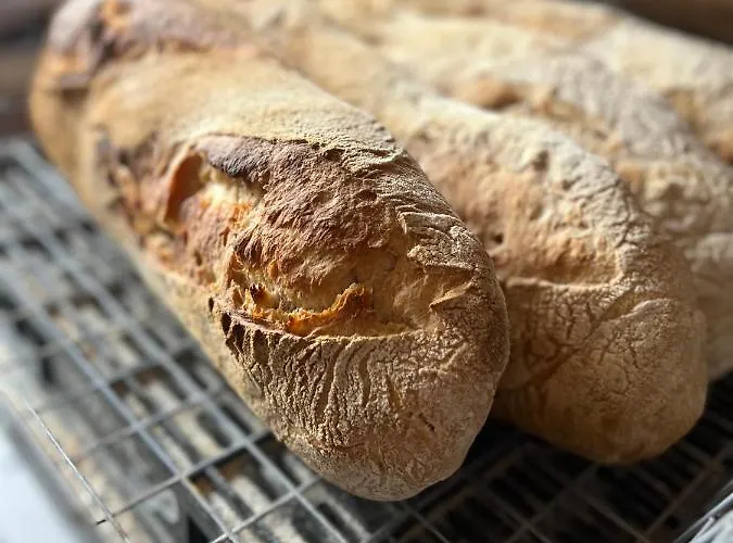 Casa Rural Basiver - Habitacion Pico San Carlos *